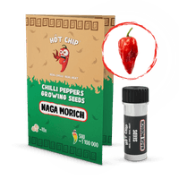 Naga Morich - semínka chilli 1