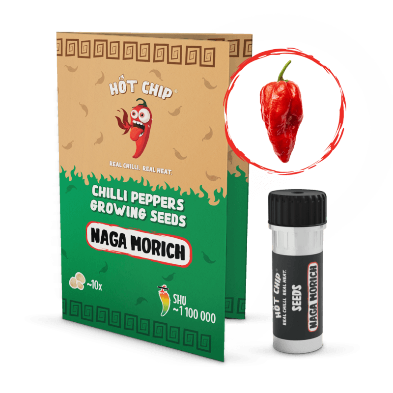 Naga Morich - semínka chilli