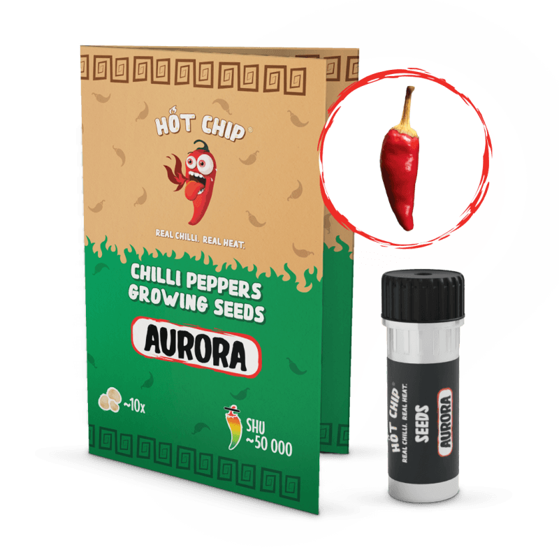 Aurora - chilli semínka