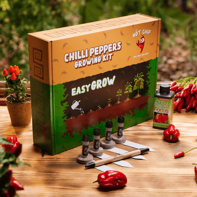 Sada na pěstování chilli papriček - Easy Grow